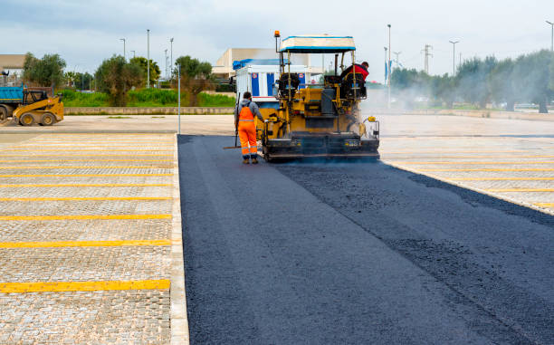 Professional Driveway Paving  in Island Lake, IL